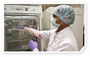 10月17日，陈春麟博士将参加2012岛津全球制药峰会