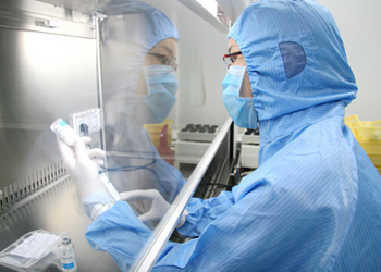 BE试验：如何提升试验成功率