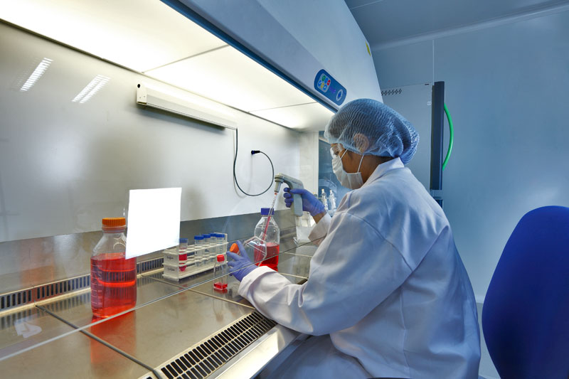 2015年度中国药品批准盘点：化药不批准率超20%，中药上市数量翻3倍