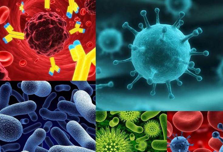 肿瘤免疫疗法：战略对头战术乏力