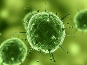 Nature：治疗实体瘤有了明确靶标，肿瘤干细胞确实存在