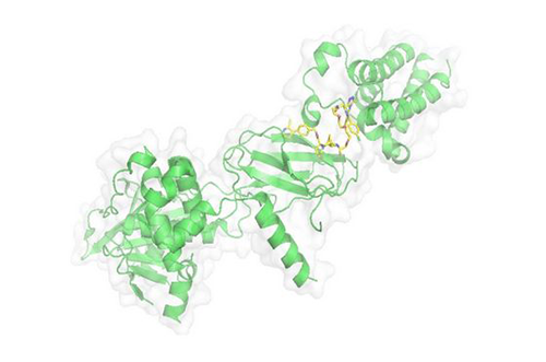 PROTAC技术，马兴泉