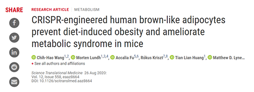 Science|聚焦CRISPR：改造脂肪细胞，“躺瘦”可能要成真了？