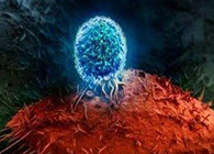 Nature：BATF3改善T细胞记忆应答，有望改善免疫疗法的疗效