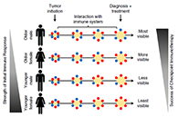 究竟为什么ICB疗法在年轻女性肿瘤患者体内收效甚微？