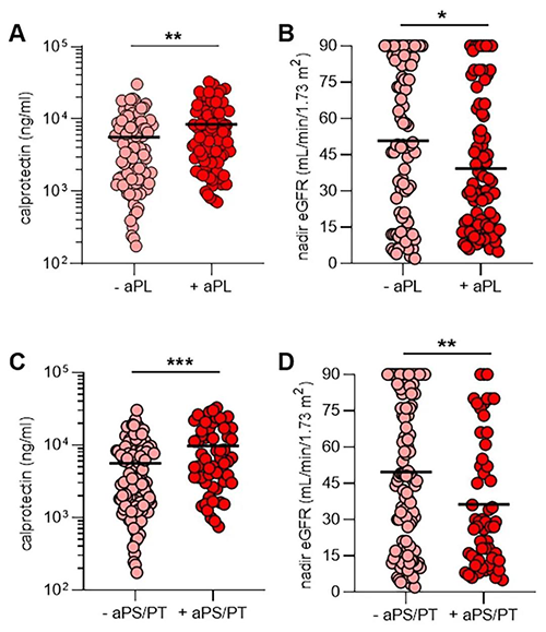 aPL抗体、NET释放和肾功能