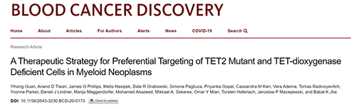 研究者描述了一种新型靶向抗癌药物，这种药物可能会有效地治疗某些常见的白血病。