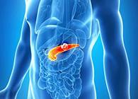Science：“癌王”胰腺癌终于出现了治疗新曙光