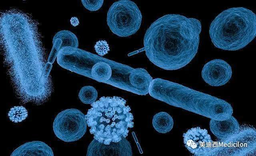 20分钟，大多数细菌都可以繁衍一代 HJC黄金城平台生物医药