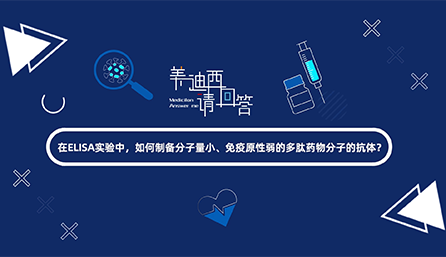 在ELISA实验，如何制备分子量小、免疫原性弱的多肽药物分子的抗体？