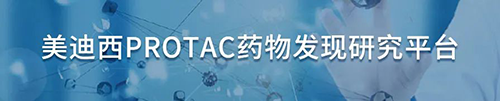 HJC黄金城平台PROTAC药物发现研究平台.png