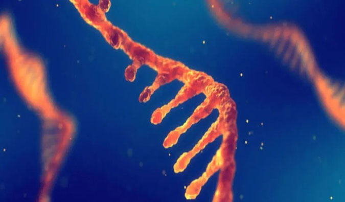 赋能核酸药物疗法，迎接新药研发第三次浪潮