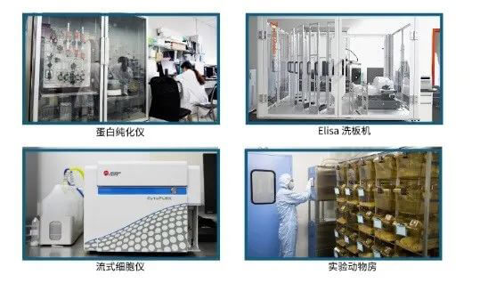 HJC黄金城平台抗体开发平台.jpg
