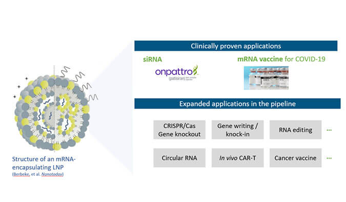 【专家报告】张翼博士：阳离子脂质高通量定制化筛选