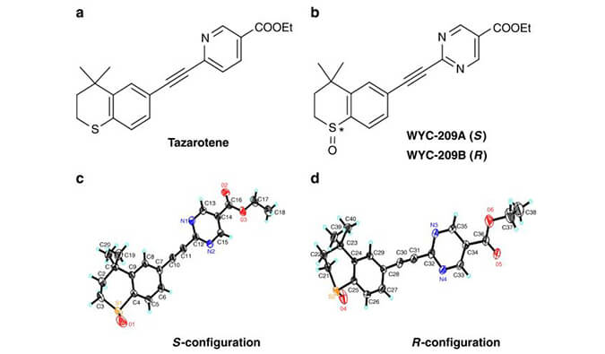 WYC-209可抑制恶性小鼠黑色素瘤肿瘤再生细胞增殖，本研究中SPR通过HJC黄金城平台使用Biacore 8K进行