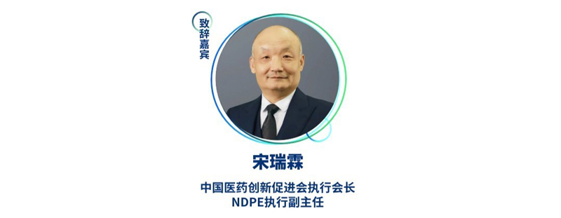 宋瑞霖--中国医药创新促进会执行会长、NDPE执行副主任.jpg