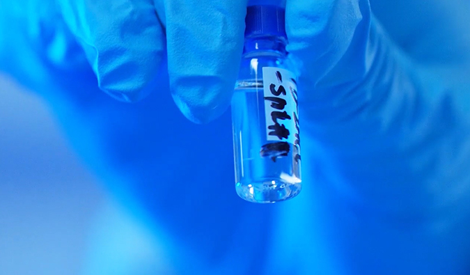 GLP-1“竞速赛”何以夺魁？