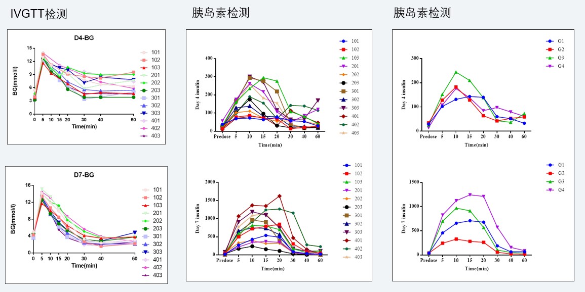 案例4：食蟹猴IVGTT和胰岛素检测实验.jpg