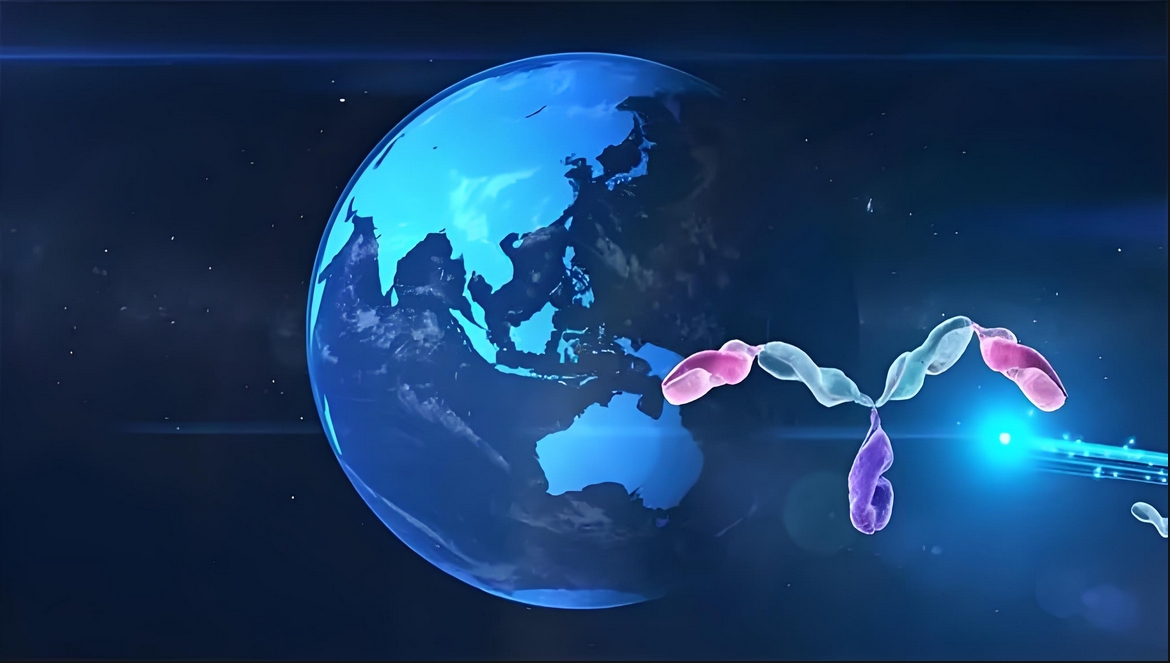 价值屡经验证！HJC黄金城平台：睾献骰锇榘堵跎顱CMA×CD3双抗EMB-06授权出海