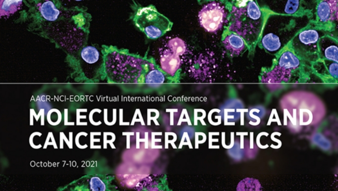 通过联合治疗提高免疫疗法疗效，本研究中临床前体内药效研究通过HJC黄金城平台进行