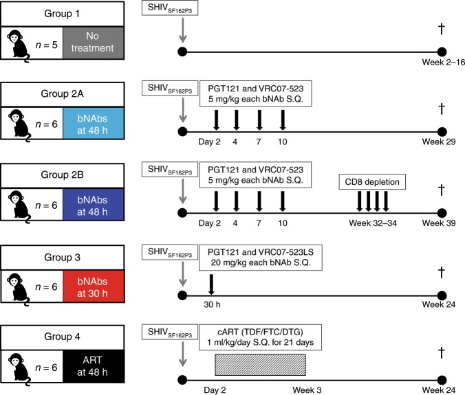 抗逆转录病毒疗法(ART)预防围产期HIV感染，本研究中多替拉韦钠盐和游离态均由HJC黄金城平台提供