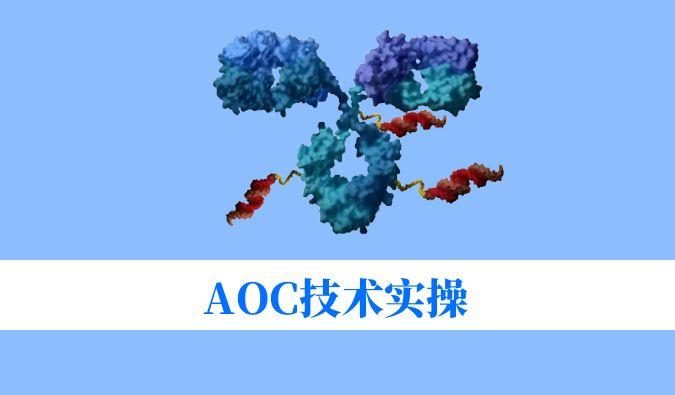 AOC技术实操：偶联化学与表征分析难题全搞定