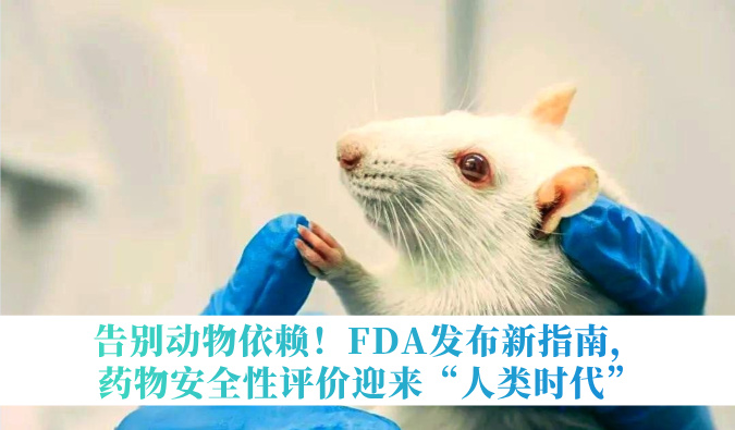 告别动物依赖！FDA发布新指南，药物安全性评价迎来“人类时代”